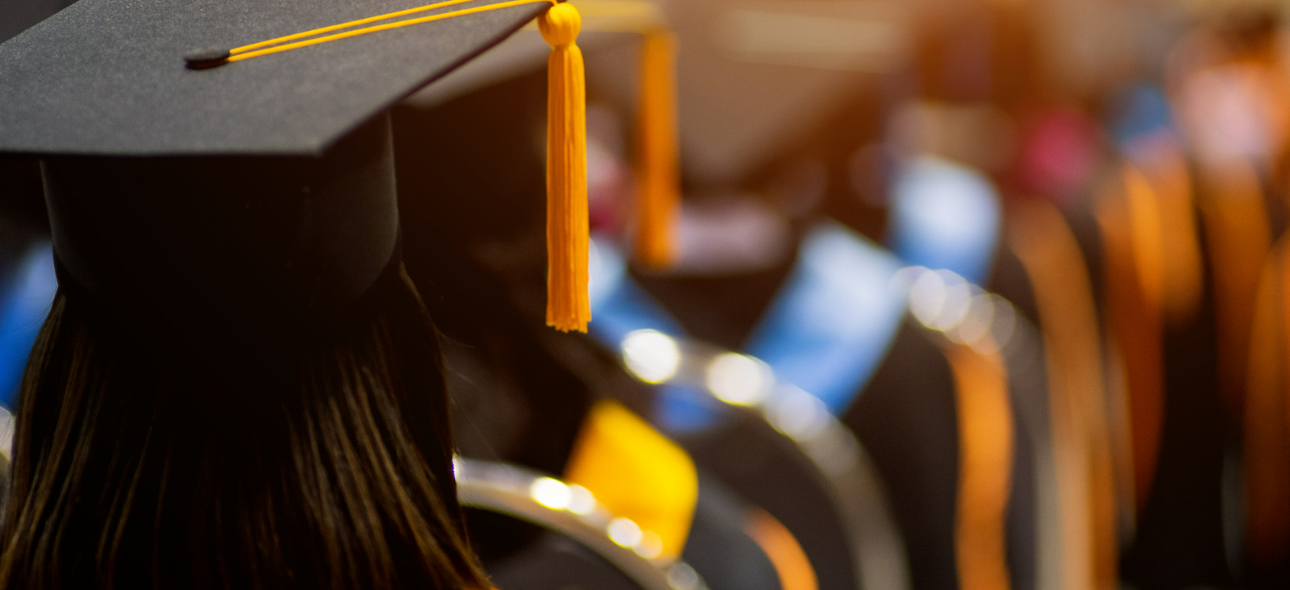 Back view of Graduation cap and graduation crowd image